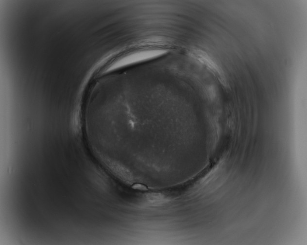 X0000093130392200710031355