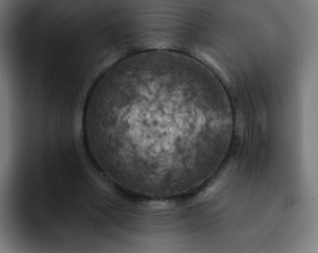 X0000093130394200710031355