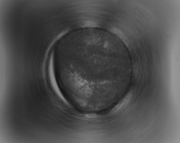 X0000093130395200710031355