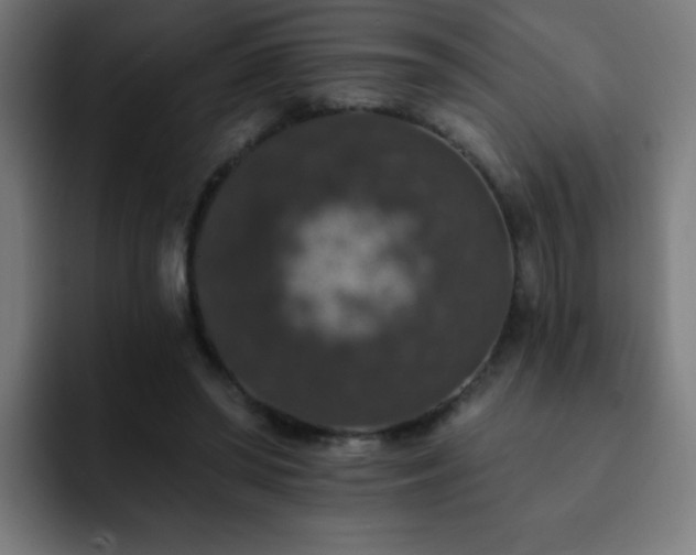 X0000093130398200710031355
