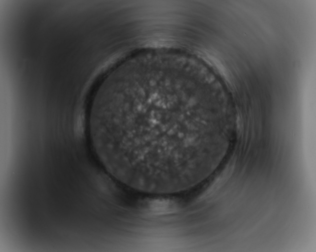 X0000093130400200710031355