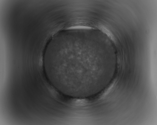X0000093130401200710031355