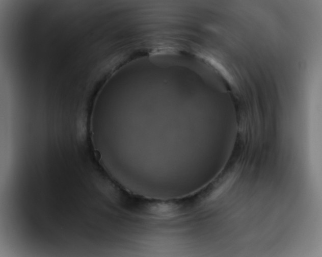 X0000093130402200710031355