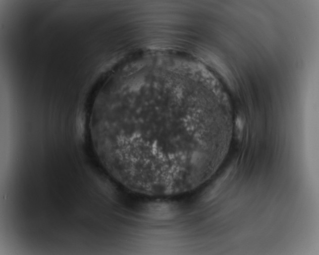 X0000093130404200710031355
