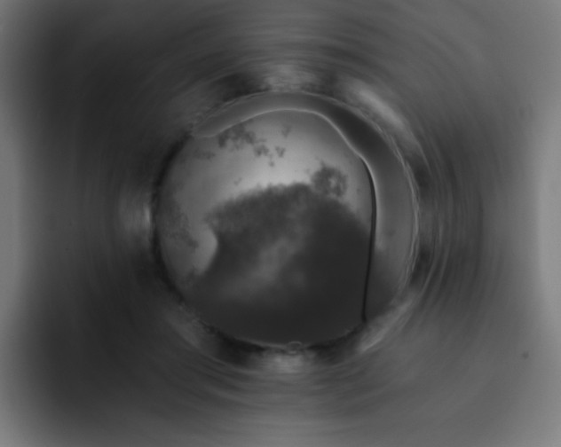 X0000093130405200710031355