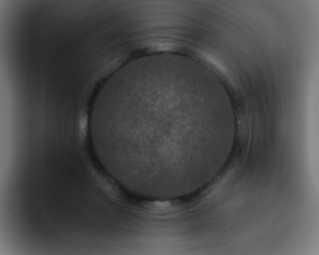 X0000093130406200710031355
