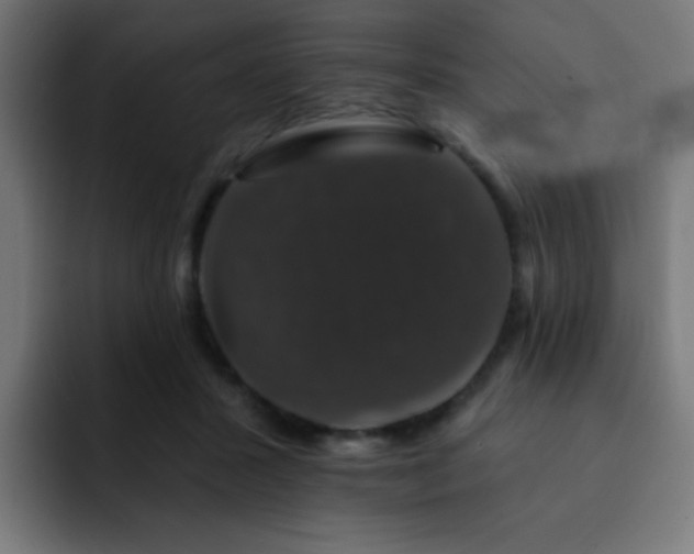 X0000093130407200710031355