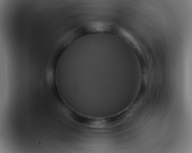 X0000093130410200710031355