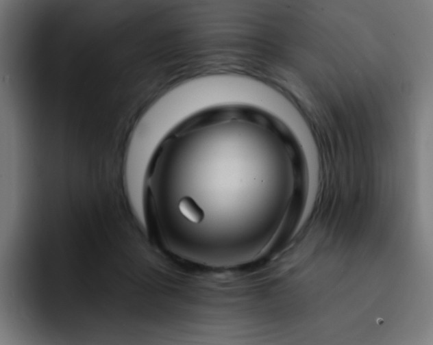 X0000093130411200710031355