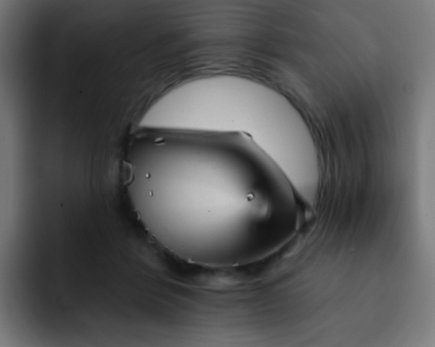 X0000093130412200710031355