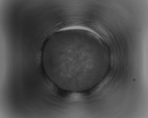 X0000093130413200710031355