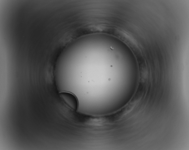 X0000093130414200710031355