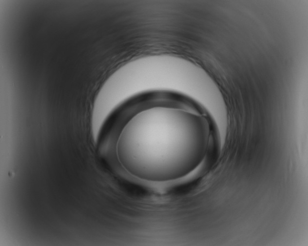 X0000093130416200710031355