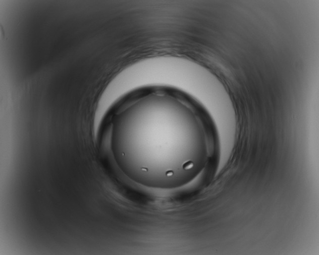 X0000093130417200710031355