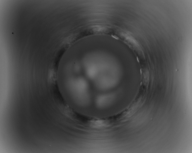 X0000093130419200710031355