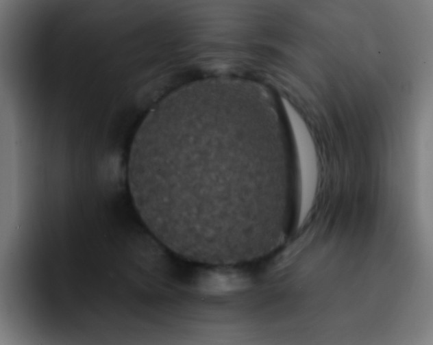 X0000093130420200710031355