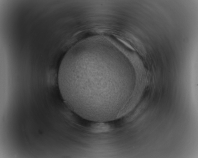 X0000093130421200710031355