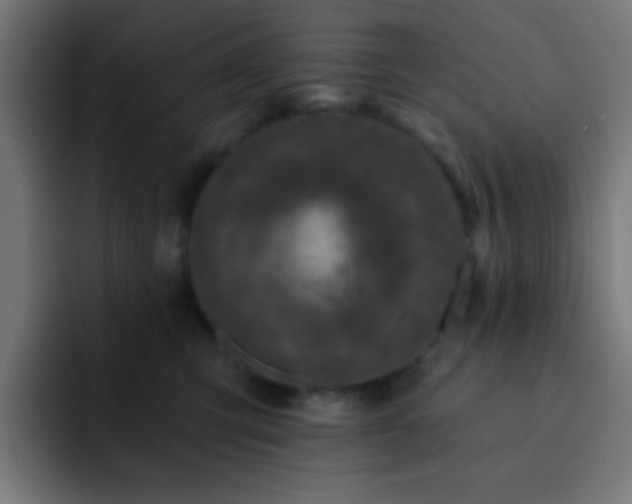 X0000093130423200710031355