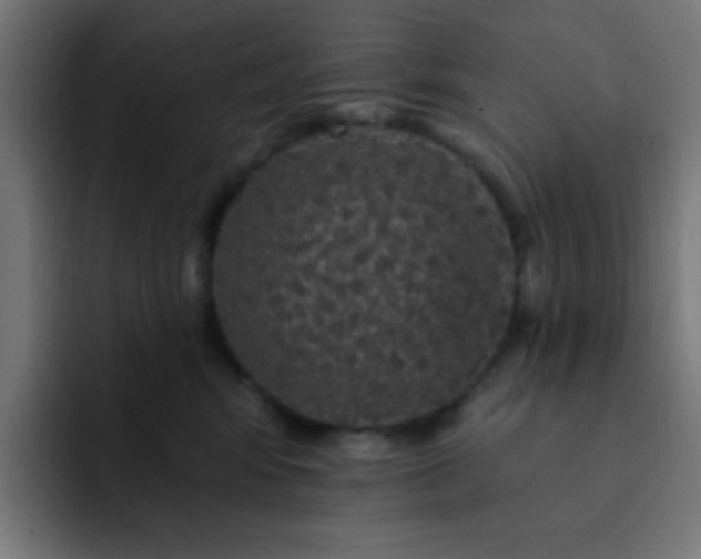 X0000093130424200710031355