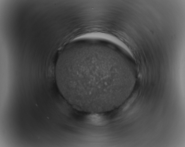 X0000093130425200710031355