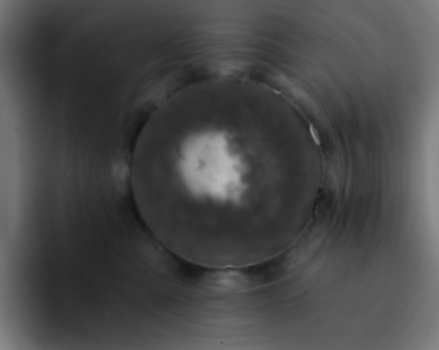 X0000093130427200710031355