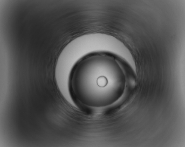 X0000093130428200710031355