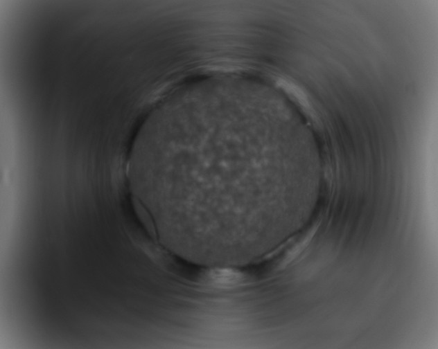 X0000093130429200710031355
