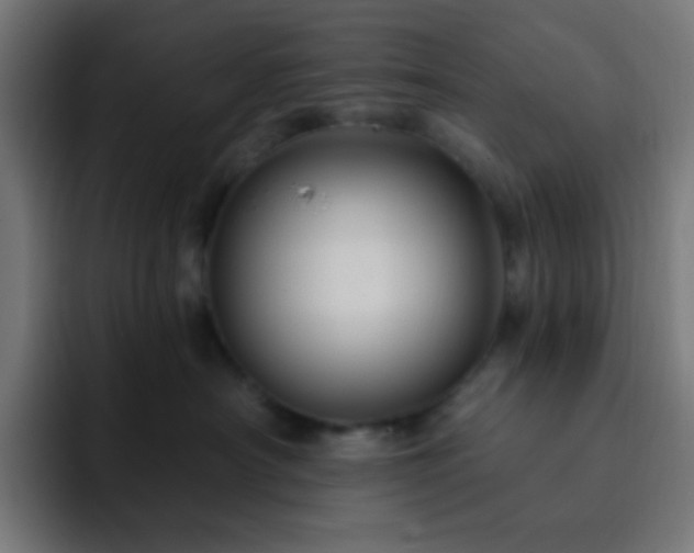 X0000093130430200710031355