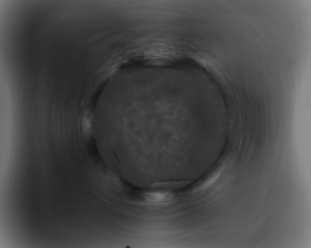 X0000093130432200710031355