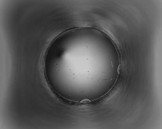 X0000093130433200710031354