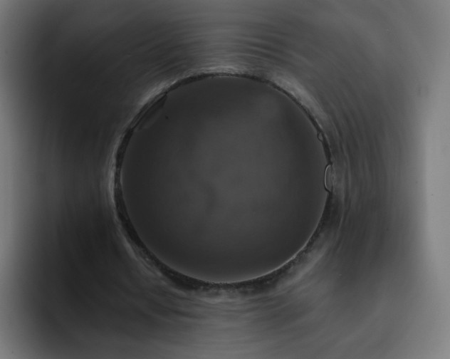 X0000093130434200710031354