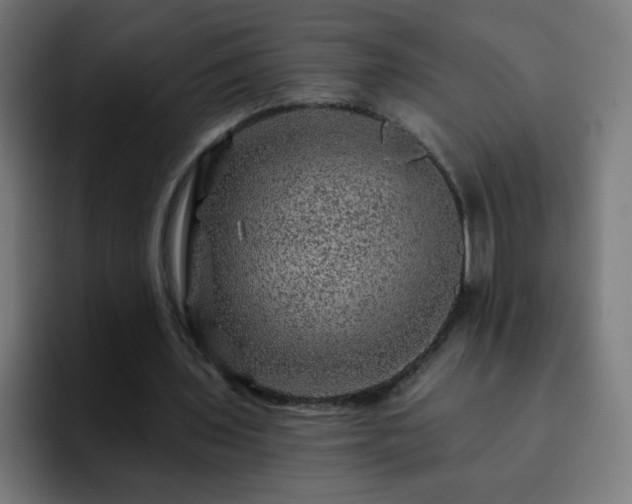 X0000093130435200710031354