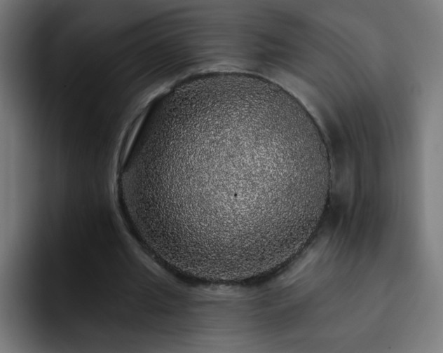 X0000093130437200710031354