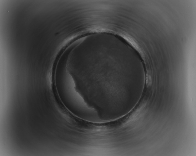 X0000093130438200710031354