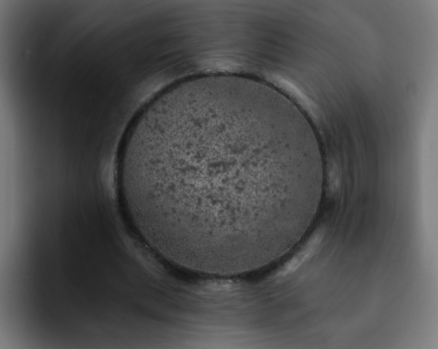X0000093130439200710031354