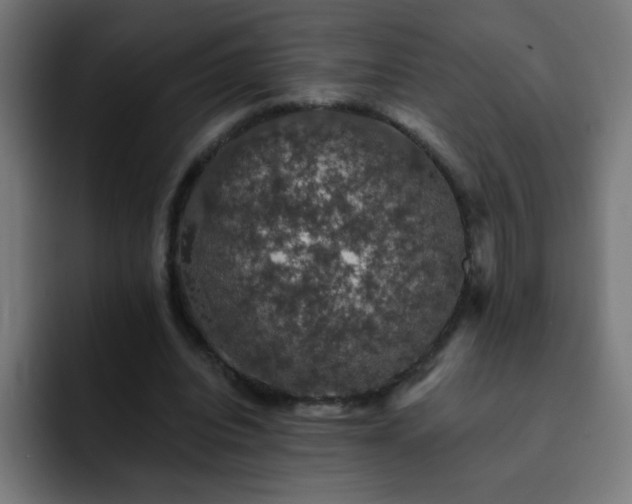 X0000093130440200710031354