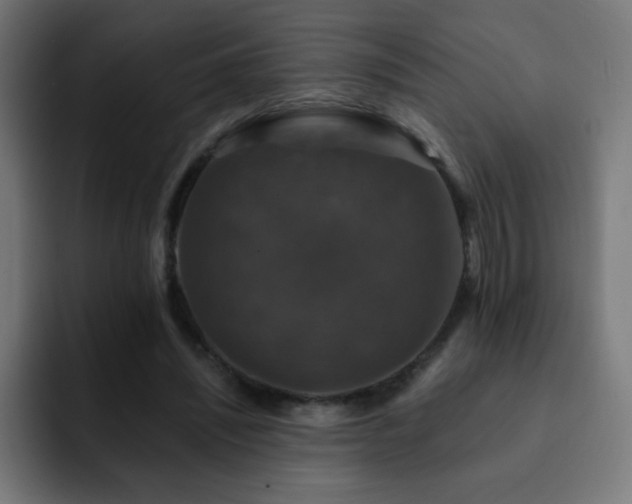 X0000093130444200710031354