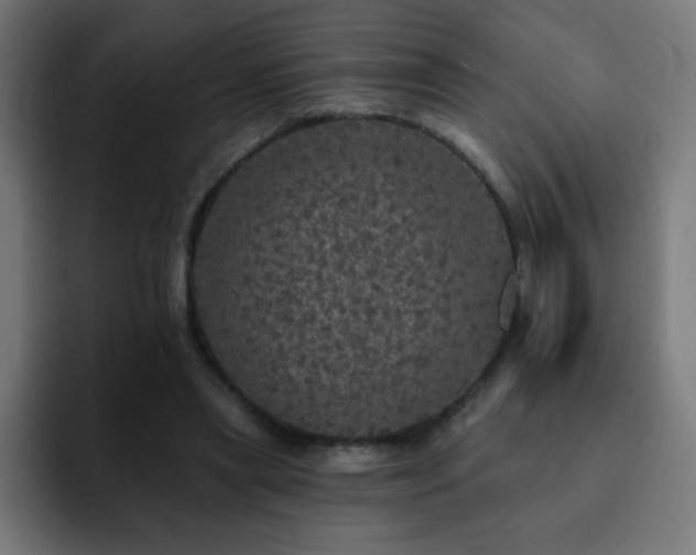 X0000093130445200710031354