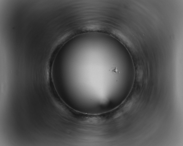 X0000093130446200710031355