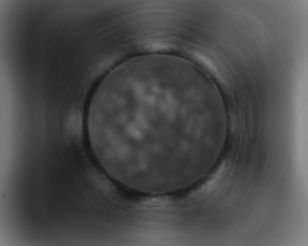 X0000093130447200710031355
