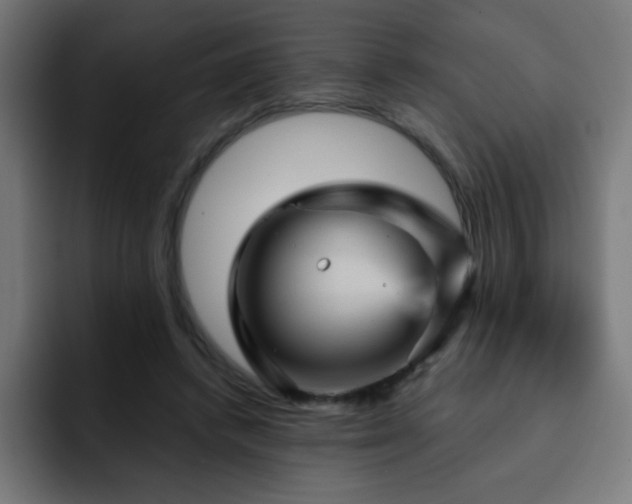 X0000093130448200710031355