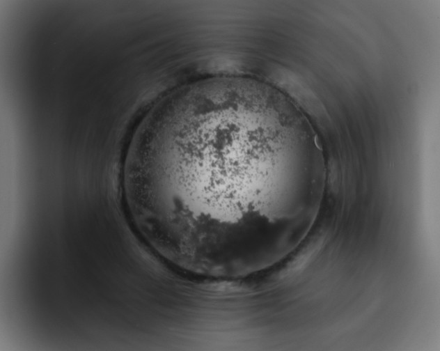 X0000093130449200710031355