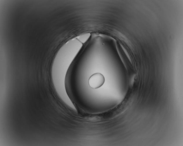 X0000093130452200710031355