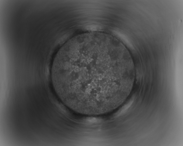 X0000093130453200710031355