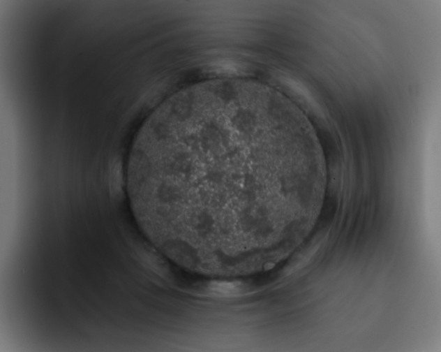 X0000093130457200710031355