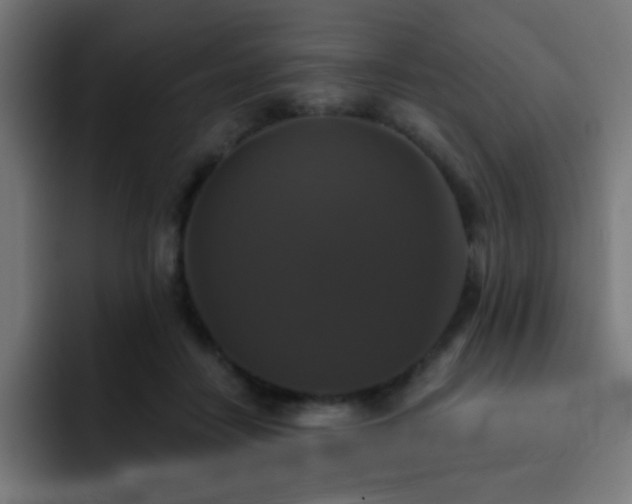 X0000093130458200710031355