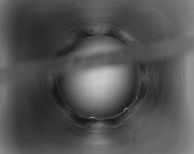 X0000093130460200710031355