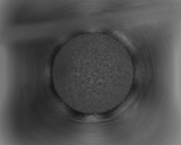 X0000093130461200710031355