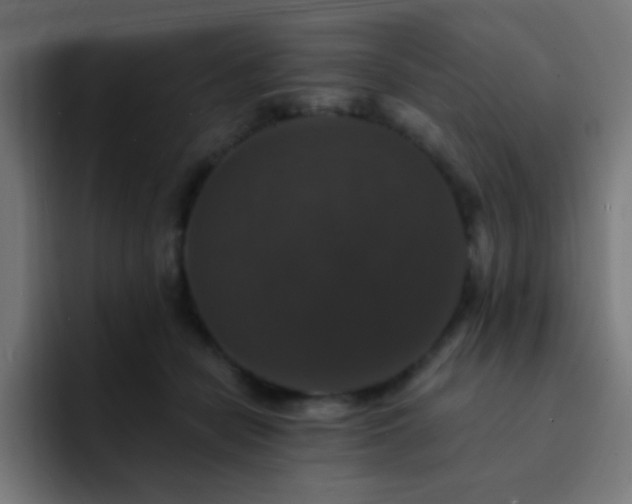 X0000093130462200710031355
