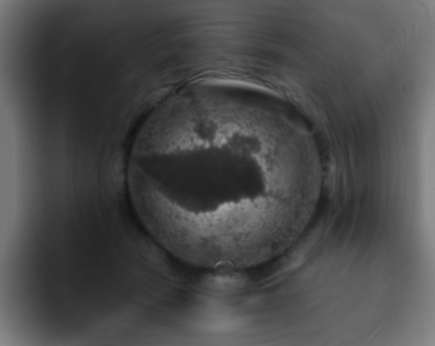 X0000093130466200710031355